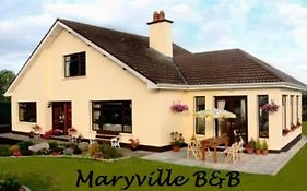 Maryville Bed&Breakfast Nenagh Exterior photo