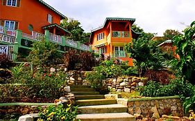 Pimento Lodge Resort Port Antonio Exterior photo