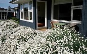 Villa Beeches By The Sea à Apollo Bay Exterior photo