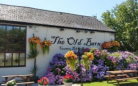 The Old Barn Inn Newport  Exterior photo