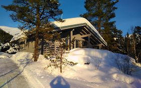 Villa Jolsterlia Hyttetun à Årdal Exterior photo