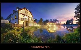 Hotel Borovansky Mlyn à Borovany  Exterior photo