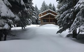 Villa Uludag Orman Koskleri Exterior photo