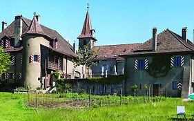 Château Rochefort Allaman Exterior photo