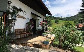 Landhaus Fay B&B Bad Ischl Exterior photo