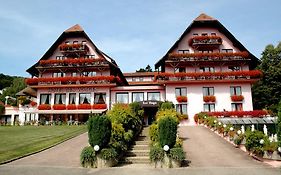 Hotel Restaurant Des Vosges Obernai Exterior photo