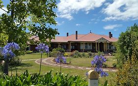 Bed and Breakfast Orana House à Hobart Exterior photo