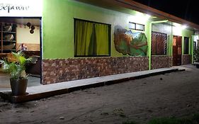 Hostel Tortuguero 7Backpackers Exterior photo