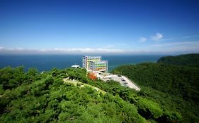 Haslla Art World Museum Hotel Gangneung Exterior photo