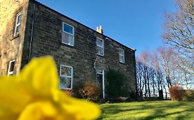 Bed and Breakfast Riding Farm à Gateshead Exterior photo