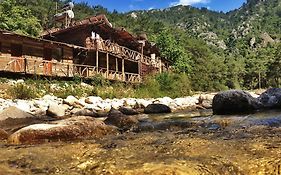 Kadirs Tree Houses Kumluca Exterior photo