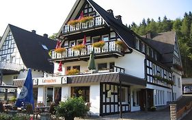 Hotel Pension & Ferienhaus Latroepchen à Schmallenberg Exterior photo