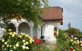 Hotel Pension Restaurant Rosenberg à Jennersdorf Exterior photo