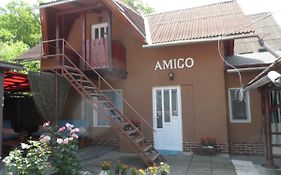 Villa Amigo Sovata Exterior photo