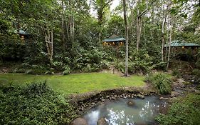 Villa Narrows Escape Rainforest Retreat à Montville Exterior photo