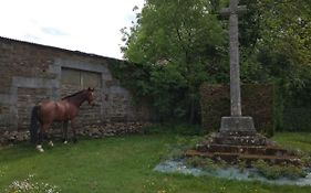 Bed and Breakfast Haras de La Croix d'Argent à Saint-Sauveur-de-Carrouges Exterior photo