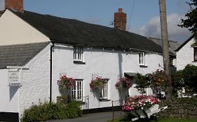 Tregenver Bed And Breakfast Bude Exterior photo