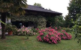 Bed and Breakfast Le querce à Tricesimo Exterior photo