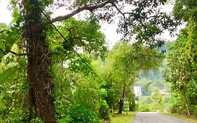 Selesa Resort Homestay Bukittinggi Exterior photo