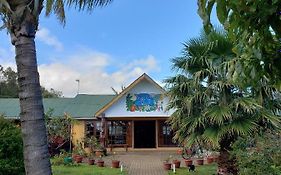 Villa Cabanas Rapa Nui Orito à Hanga Roa Exterior photo