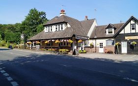 The Flying Bull Inn Liss Exterior photo