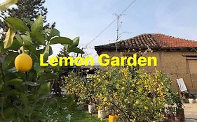 Auberge de jeunesse Lemon Garden à Skopje Exterior photo