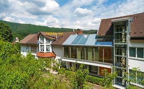 Hotel Vierburgeneck à Neckarsteinach Exterior photo