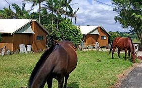 Byron Bay Farm Cottages Exterior photo