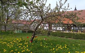 Pension Toepferhof Bad Berka Exterior photo