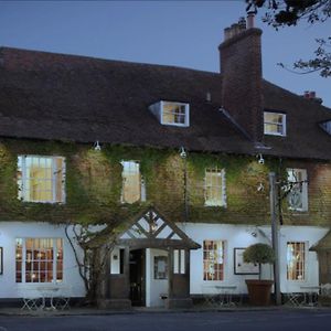 Hotel The Leicester Arms à Penshurst Exterior photo