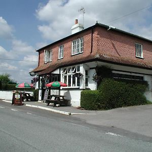 Mucky Duck Inn Horsham Room photo