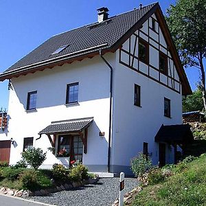 Ferienwohnung Lohse Altenberg  Exterior photo