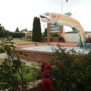 Big Trout Motel Oberon Exterior photo