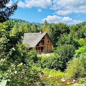 Villa Mysynevyr - Будинок У Серці Карпат Exterior photo