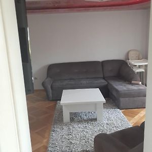 Appartement Loznicki Stan Na Dan 2 - Stan Na Dan Loznica Exterior photo