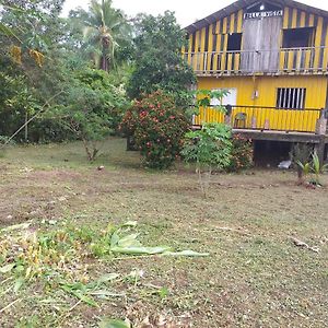 Hotel Bellavista Beach In Jovi à Nuquí Exterior photo