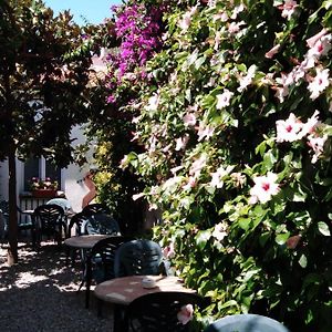 Hotel Mitus Canet De Mar Exterior photo