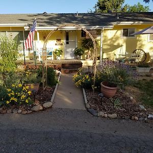 Bed and Breakfast Yosemite Plaisance Bed&Breakfast à Mariposa Exterior photo