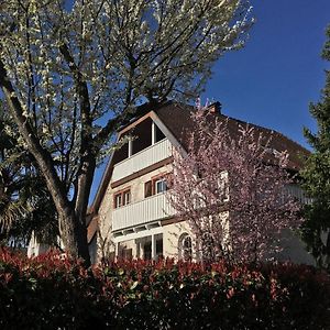 Ferienwohnung Dashaus Rheinfelden  Exterior photo