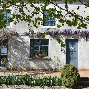 Bed and Breakfast Le Tilleul de Ray à Ray-sur-Saone Exterior photo