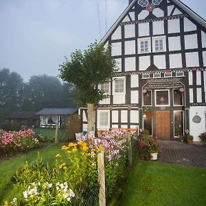 Bed and Breakfast Pension Alois Hennecke à Schmallenberg Exterior photo