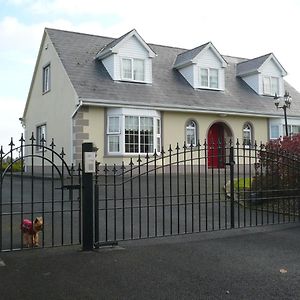 Bed and Breakfast Tyreda à Ennis Exterior photo