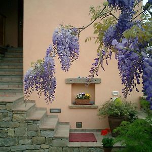 Bed and Breakfast Il Glicine à San Dorligo della Valle Exterior photo