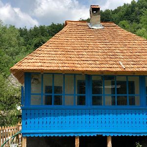 Villa Casa Albastra à Băile Olăneşti Exterior photo