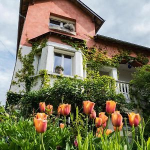 Bed and Breakfast l'abri du viaduc à Saint-Satur Exterior photo