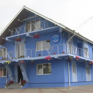 Bed and Breakfast Casa David à Rădăuţi Exterior photo