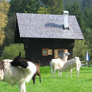 Villa Huette Zum Verlieben à Gurk Exterior photo