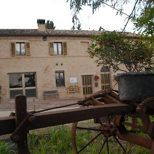 Fattoria Nonno Neno B&B Appignano  Exterior photo