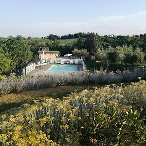 Bed and Breakfast Il Gelso Country House à Castorano  Exterior photo