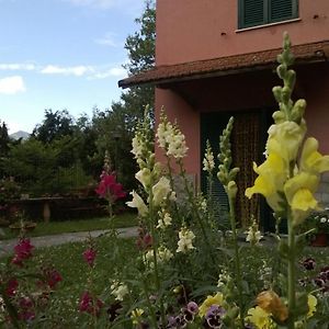 Bed and Breakfast La Torretta Bed & Breakfast à Torriglia Exterior photo